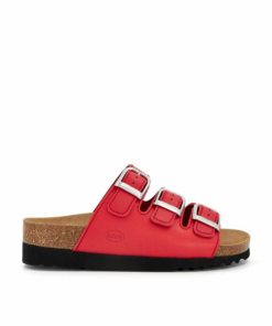 Newdata.shop0dfa52f319 1