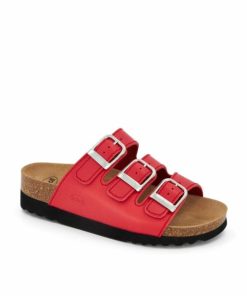 Newdata.shop0dfa52f319 2