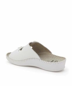 Newdata.shop1533cc17d8 4