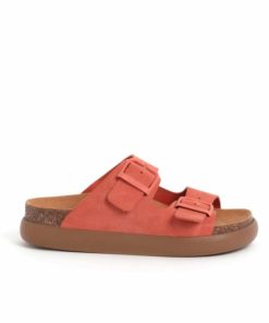 Newdata.shop1f40c45033 1