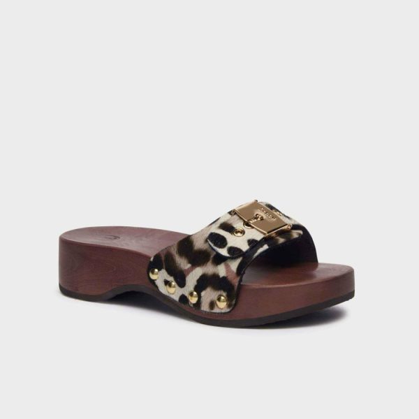 Newdata.shop2d1a5aa0d5 2