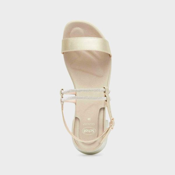 Newdata.shop736c549db5 3