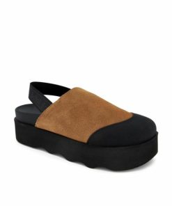 Newdata.shopb075310bff 2