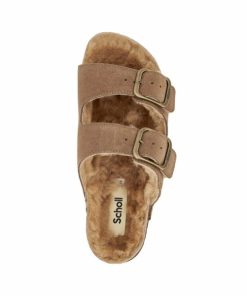 Newdata.shopc4fea39752 4