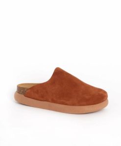 Newdata.shopd7843aeae5 2