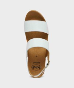 Newdata.shopfdaa3524d1 3